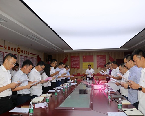 公司黨支部開(kāi)展“牢記初心擔使命、全民創(chuàng  )衛我先行” 主題黨日活動(dòng)